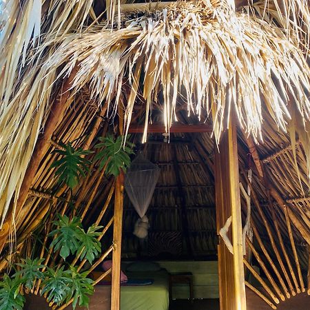 Calypso Cabanas Эль-Паредон-Буэна-Виста Экстерьер фото