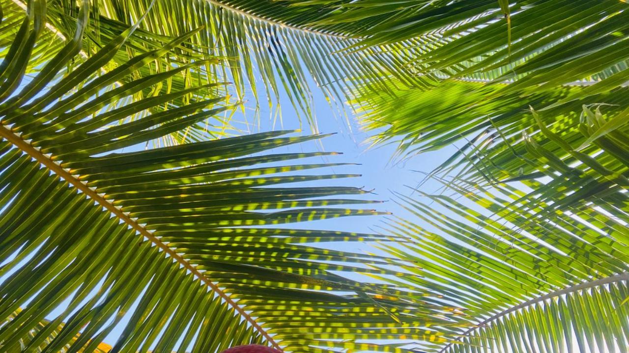 Calypso Cabanas Эль-Паредон-Буэна-Виста Экстерьер фото